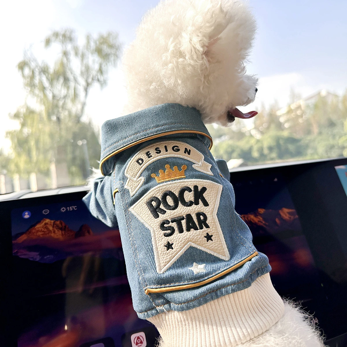 Rock Star Denim Pet Clothes Medium Small Breeds