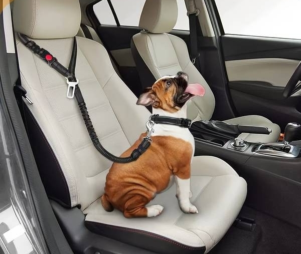 Dog Car Seat Belt Set