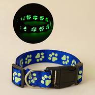 A Collar with a Pet Paw Print Design That Glows in The Dark ( XL ) - Royal Blue